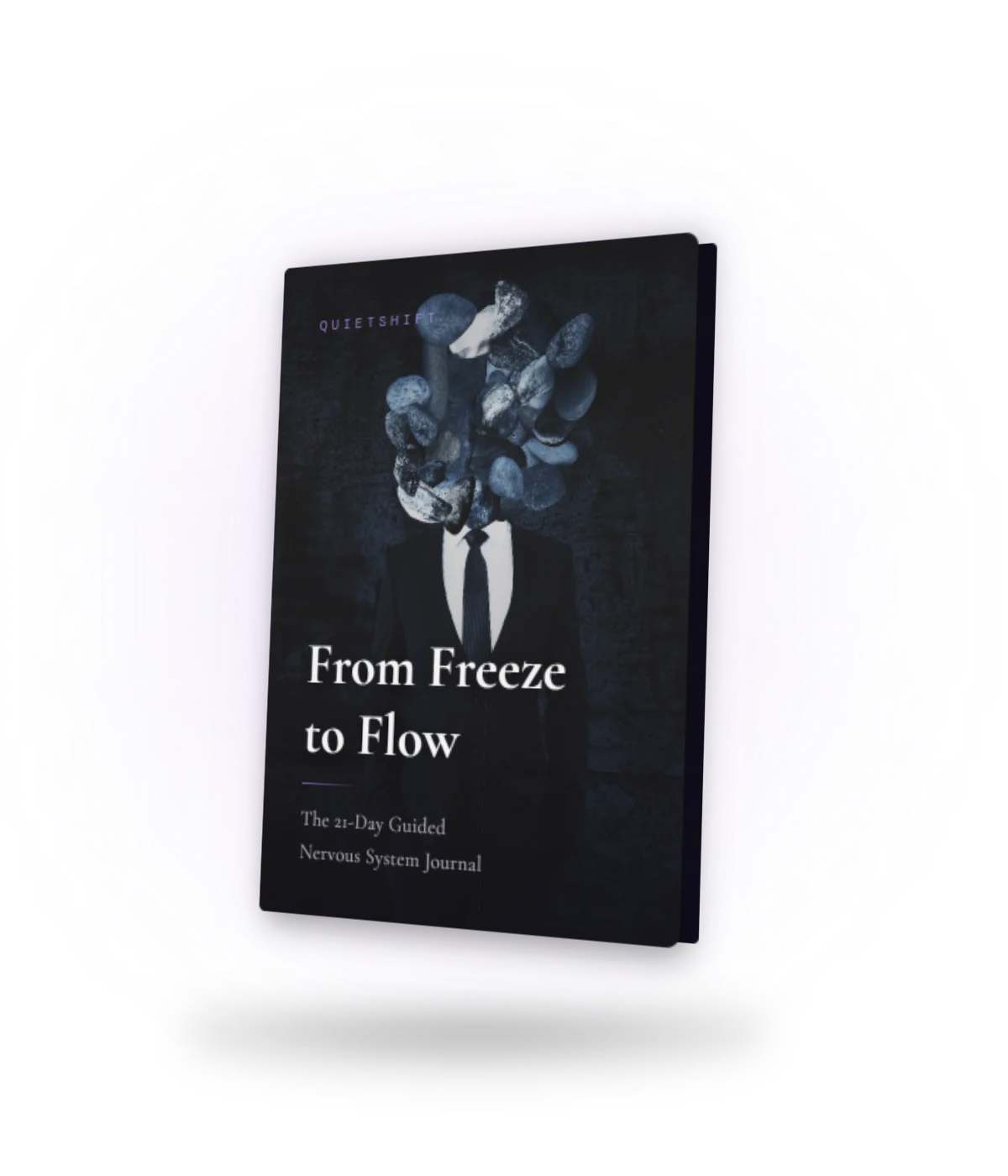 From Freeze to Flow – The QuietShift Journal | 21-Day PDF Guide